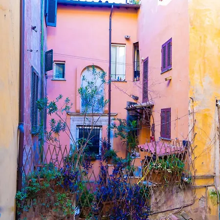 Apartment Domus Pellegrino Heart Of